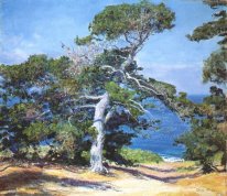 Sebuah Carmel Pine