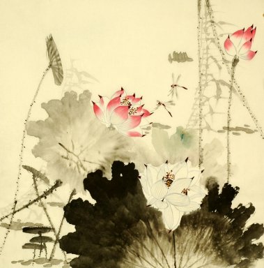 Lotus - pintura chinesa