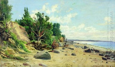 Пляж 1890