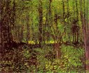 Trees And Undergrowth 1887