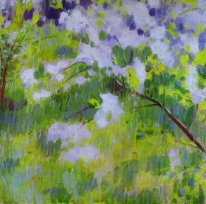 Вишневый деревья в цвету 1901