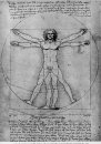 Le proporzioni della figura umana l'uomo vitruviano 1492