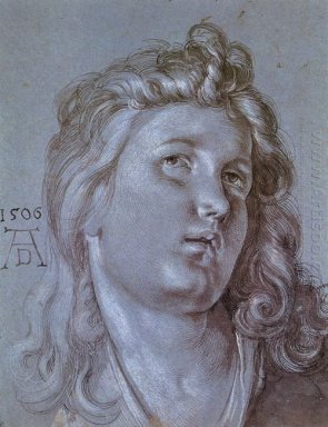 Testa di un angelo 1506