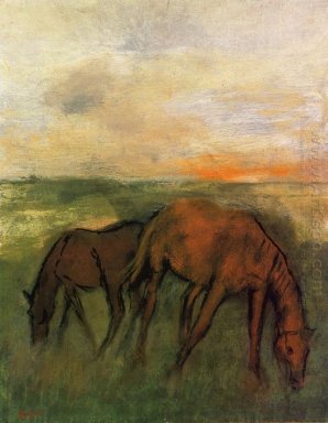 Twee paarden in een weiland
