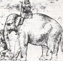 Hanno Påven S Leo X Elephant 1516