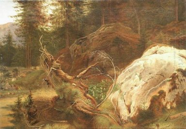 Stenar i A Forest 1865