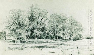 Деревья в области Братцево 1866