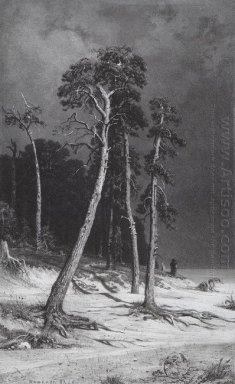Pines 1892