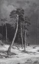 Pinus 1892