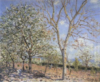 Bomen in bloei 1889