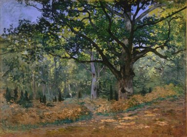The Bodmer Oak Fontainebleau