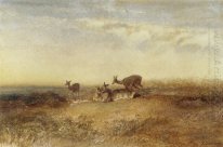 Deer in einer Landschaft