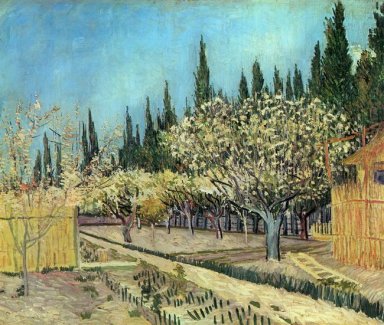 Orchard In Blossom Bordered By Cypresses 1888 1