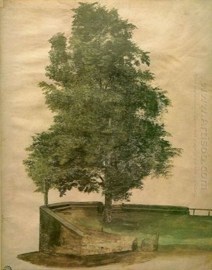 Pohon Linden Di Benteng 1494