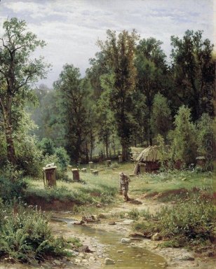Пчелиных семей в лесу 1876