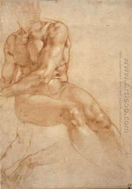 Male Nude Study