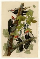 Piatto 111 Pileated Woodpecker