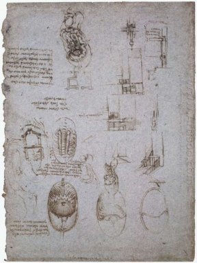 Studien der Villa Melzi und anatomische Studie 1513