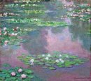 Water Lilies 9