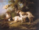 Honden In Landschap - Setters & Wijzer