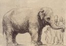 An Elephant 1637