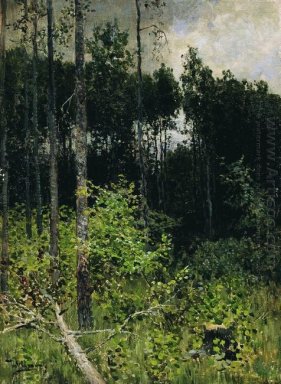 Aspen Spinny en grå dag 1884