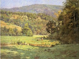 Roan Mountain