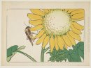 Grasshopper and sunflower