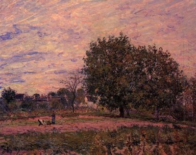 Walnussbäume Sonnenuntergang frühen Tagen des Oktober 1882