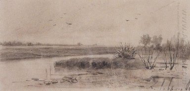 болотистая река 1875