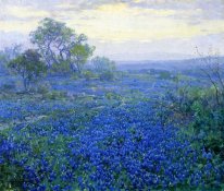 Un día nublado, Bluebonnets cerca de San Antonio, Texas