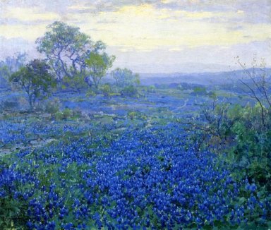 Een Bewolkte Dag, Bluebonnets nabij San Antonio, Texas