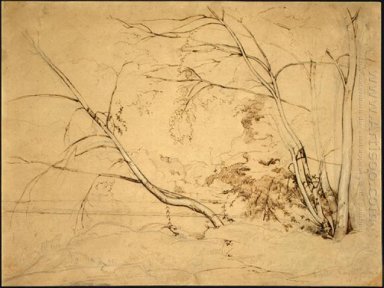 Bouquet d\'arbres à Civita Castellana 1826