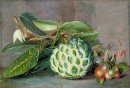 Cherimoya, natif 'Groseille »de Sarawak, et Blatt pèlerin