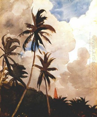 Palm Trees Bahamas