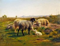 Moutons et un agneau