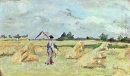 Haymaking