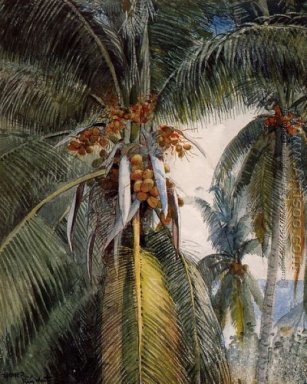 Palmas de coco, de Cayo Hueso