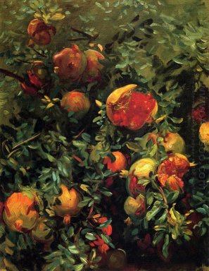 Pomegranates Majorca 1908