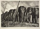 Elefantes do circo