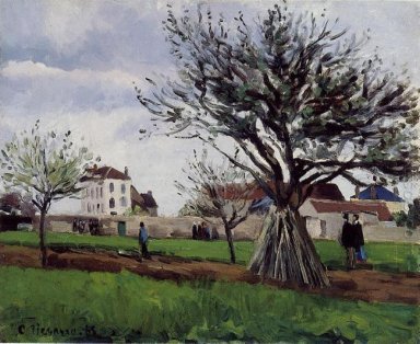 яблони в Понтуаз 1868