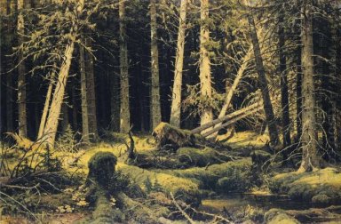 Vento árvores caídas 1888