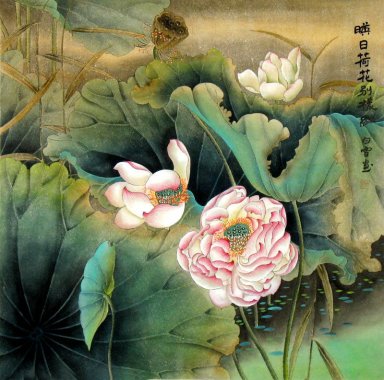 Lotus - peinture chinoise