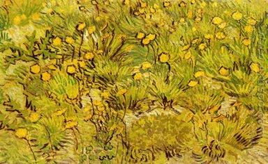 Un champ de fleurs jaunes
