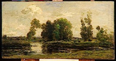 El estanque de 1870