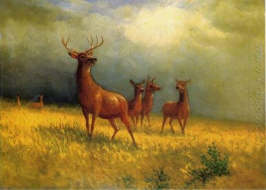 Herten in een veld 1885