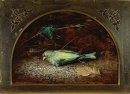 Un Linnet Morto 1862