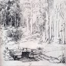 clairière de la forêt avec une fontaine fortifiée par lequel deu