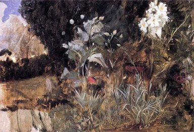 Bunga Sketsa Untuk The Enchanted Garden 1916