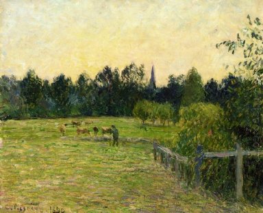 Cowherd in un campo a eragny 1890